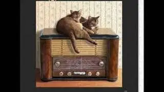We`re Gonna Hang Out Our Washing On The Siegfried Line