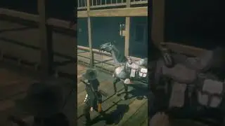 MISSOURI FOX TROTTER AZUL - RED DEAD REDEMPTION 2