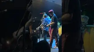 LAD   El pajaro vio el cielo y se volò