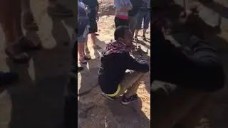 Гид жжет )) Египет