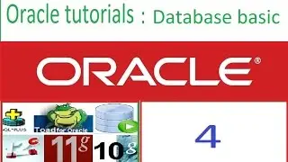 Database basics..............