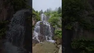 rize de her yer #şelale #rize #natural #doğa