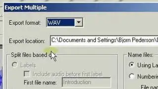 Saving multiple tracks as individual files