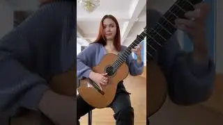 Mozart on classical guitar