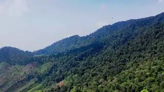 Drone Footage Of A Mountain Fores | DJI DRONE | No Copyright