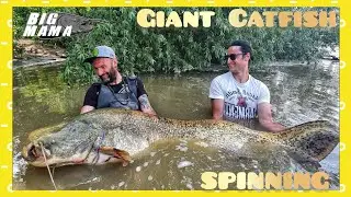 Incredible giant catfish 220 lbs  with light spinning rod - 4K by Catfish World