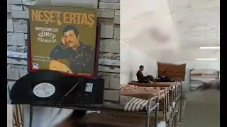 Mapushanelere Güneş Doğmuyor / Plak Kayıt - Neşet Ertaş