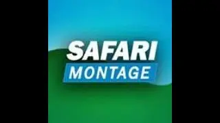 Getting to Safari Montage Training (No audio)
