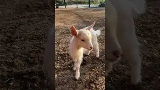 Valentina con los demás bebés