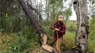 The End is Near, Part 2: the Second Half of my Last Full Day at Our Cabin in the Alaskan Wilderness