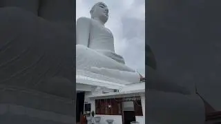 Что видит #Будда #шриланка #srilanka #канди #kandy #buddha