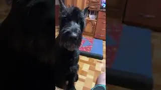 Кушаем зернышки