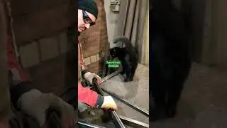 сварочный кот Ral 9005 глянец