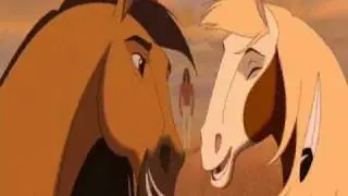 Mustang z dzikiej doliny  - Adam i Ewa