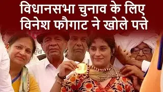 विधानसभा चुनाव के लिए विनेश फौगाट ने खोले पत्ते Haribhoomitv