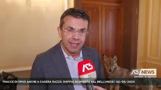 TRACCE DI ORSO ANCHE A CASERA RAZZO. DOPPIA SCOPERTA NEL BELLUNESE | 02/05/2023