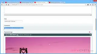 WordPress vs. ProcessWire - Comments
