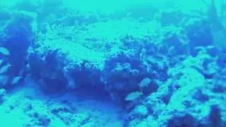 Diving the Fingers
