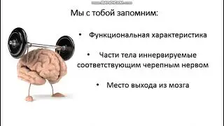 Черепно-мозговые нервы за 5 минут