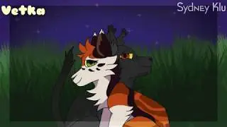 ~Коты Воители~[Начало Племён]💫Try everything💫