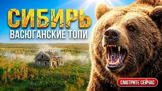 ГИБЛЫЕ БОЛОТА СИБИРИ!! Самое большое болото в мире! 