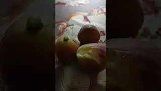 Доброе утро у меня, а у вас?