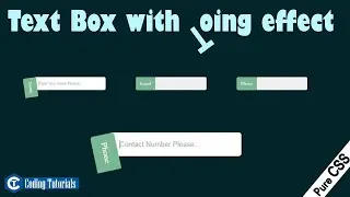 Text Box with Toing Effect | How to create Textbox in HTML with CSS | Coding Tutorials