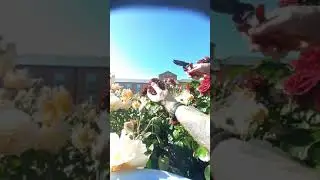 Deadheading