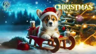 Elsa the Korgi Christmas Special - Hark the Herald Angels Sing