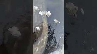 14 ноября 2023 г.