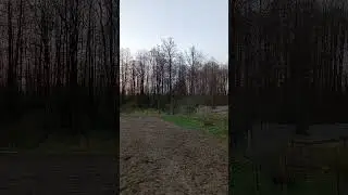 Просто слушай, Соловей!