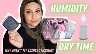 Why aren’t my lash extentions sticking? Humidity, Adhesive, Dry-Time | Zee Lashes