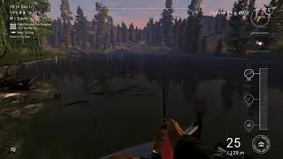 FishingPlanet   Mongolia   Selenge River   Unique Common Dace