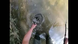 Пляжный Коп!!!  Мобила + Серебро