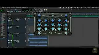 Acustica Audio SALT Demos