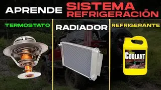 How Your Vehicle's Cooling System Works | The Definitive Guide