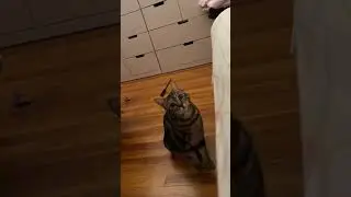 catching