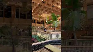 Most Beautiful Airport in India? 