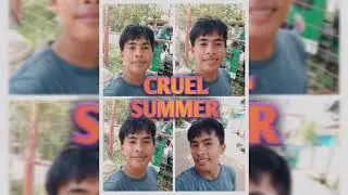 Taylor Swift - Cruel Summer (Cover by Cris)