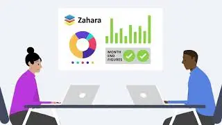 Zahara Explainer video for Xero
