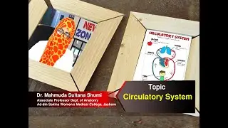 Circulatory System II Dr. Mahmuda Sultana Shumi. Asso. Prof. II Anatomy II ASWMC II Online Class