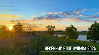 🍖 Весенний Влог с Вульфом 2024