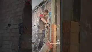 El recrecimiento de una mochetas