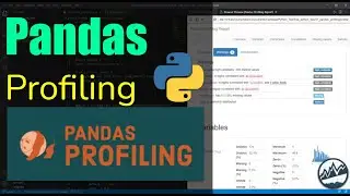 Pandas Profiling: Make Exploratory Profile Reports