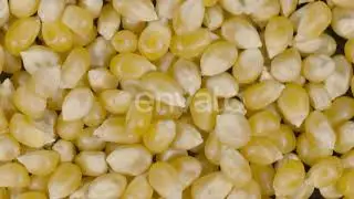Popcorn Seeds | Stock Footage - Envato elements