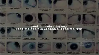 mitski // brand new city「türkçe çeviri」