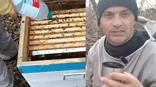 Обработка пчёл бипином