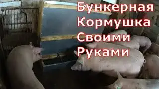 How to make a hopper feeder for pigs