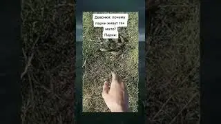 Тип бессмертный, дразнит змею)
