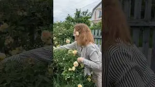 Моя  поїздка в село🌸